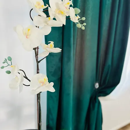 Przy Muzeum Apartment