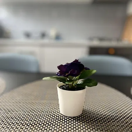 Przy Muzeum * Danzig